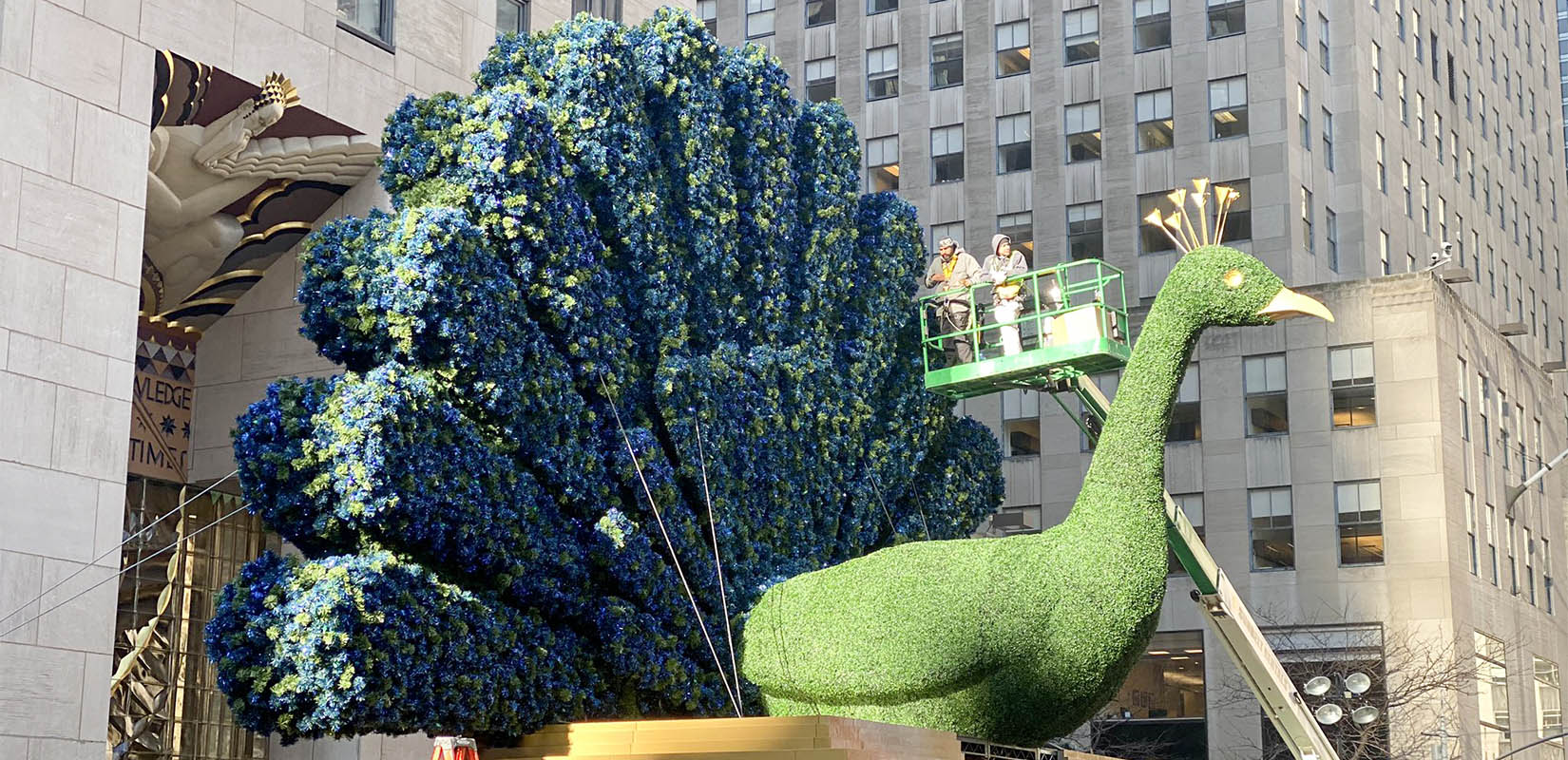 NBC-Peacock-Streaming-Service-Plant-Sculpture-Rockefeller-Center-NYC-1