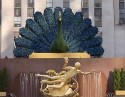 nbc-peacock-streaming-service-rockefeller-center